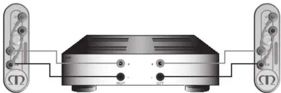 MONITOR AUDIO Gold 100 5G - Enkele draad - 2