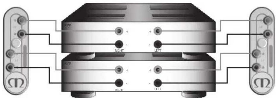 MONITOR AUDIO Gold 100 5G - Bi-Amping - 2