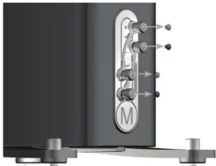 MONITOR AUDIO Gold 100 5G - Clavijas de punta cónica - 1