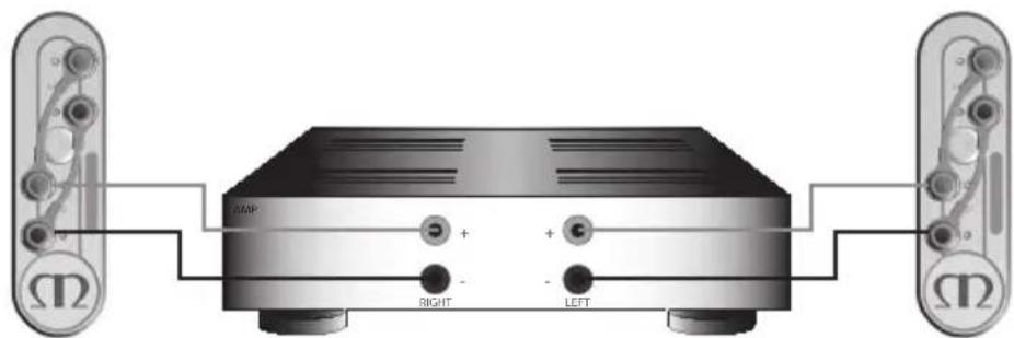MONITOR AUDIO Gold 100 5G - Cableado sencillo - 2