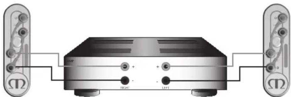 MONITOR AUDIO Gold 100 5G - Single Wiring - 2