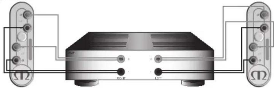 MONITOR AUDIO Gold 100 5G - Cxema Bi-Wiring - 2