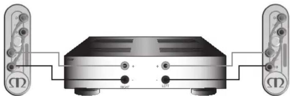 MONITOR AUDIO Gold 100 5G - Câblage unique - 2