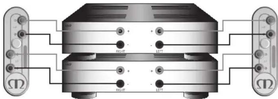 MONITOR AUDIO Gold 100 5G - 双功放 - 2