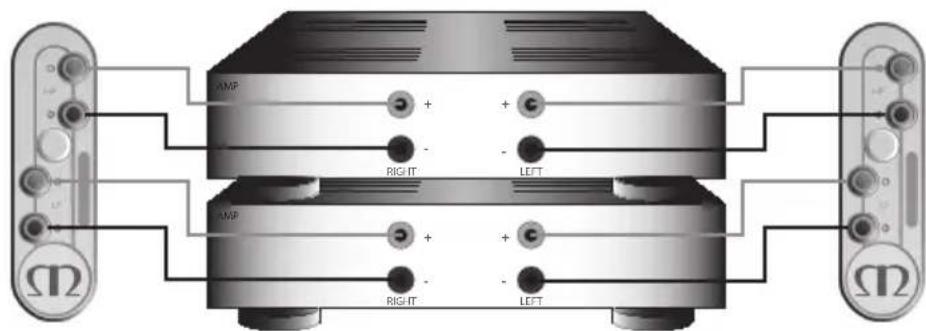 MONITOR AUDIO Gold 100 5G - Bi-Amping - 2