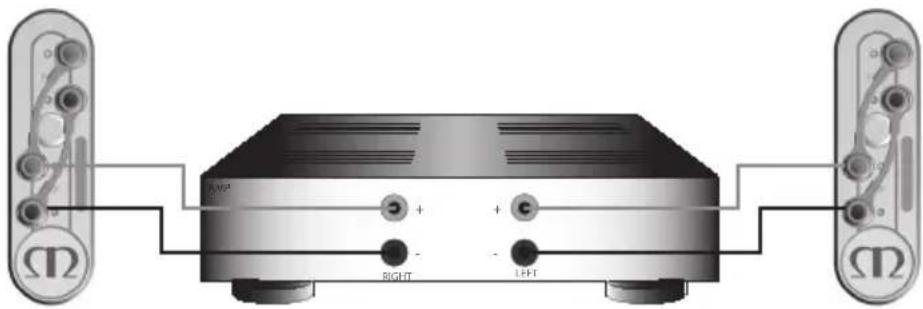 MONITOR AUDIO Gold 100 5G - Single wiring - 2