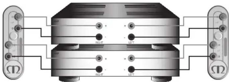 MONITOR AUDIO Gold 100 5G - Doble amplificador - 2