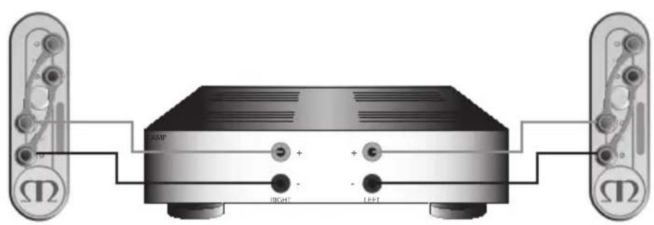 MONITOR AUDIO Gold 100 5G - 单布线 - 2