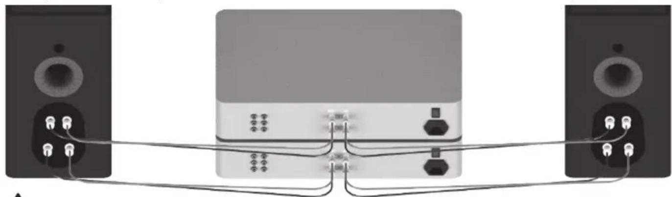 MONITOR AUDIO Gold 200 5G - Bi-amping - 1