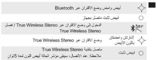 soundcore Anker Flare - إرشادات السلامة - 2