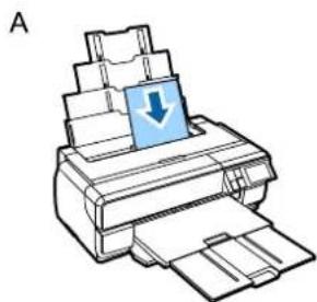 EPSON SCPX3V - ！重要 - 1