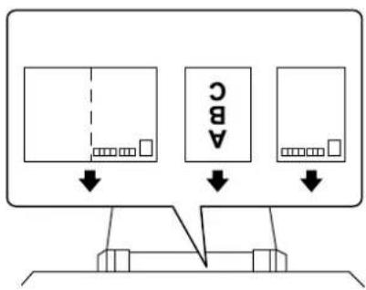 EPSON SCPX3V - 八方苄の场合 - 1