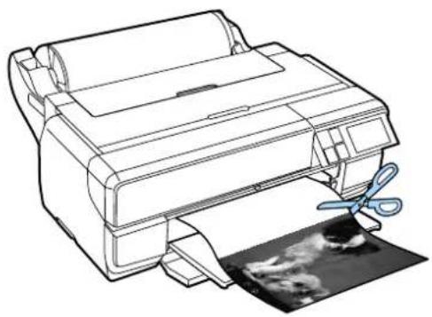 EPSON SCPX3V - □一ル紙の力ット - 2