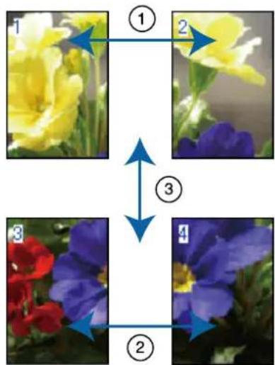 EPSON SCPX3V - 手木斯一印刷時 - 1