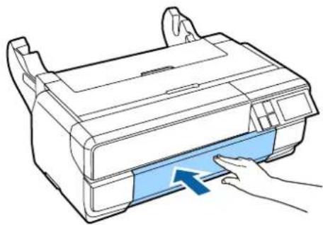 EPSON SCPX3V - PLINNTA-NESS - 1