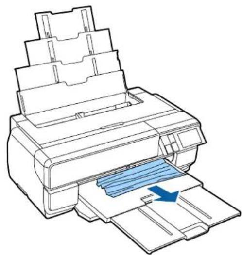 EPSON SCPX3V - ！重要 - 2