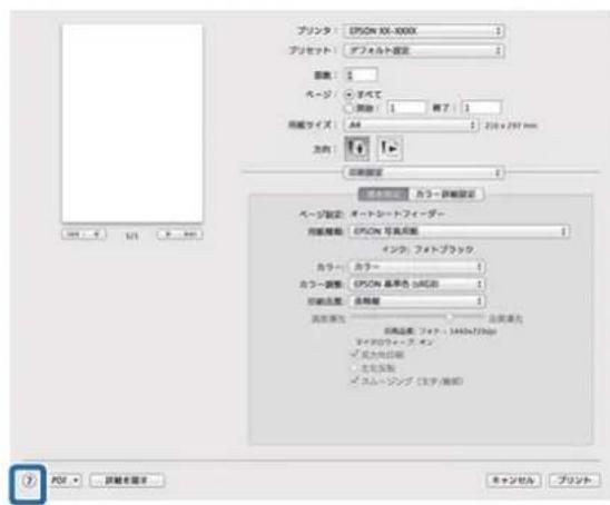 EPSON SCPX3V - ルフの表示方法 - 1