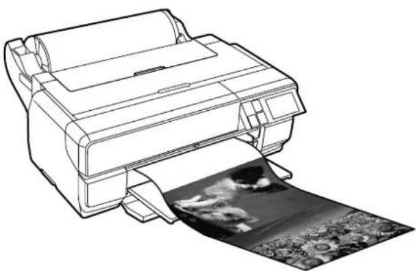 EPSON SCPX3V - 長尺印刷（口一ル紙への八ナ一印刷） - 1