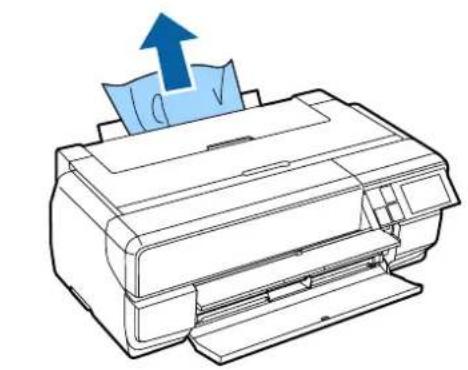 EPSON SCPX3V - fräin一卜紙告喆末了 - 1