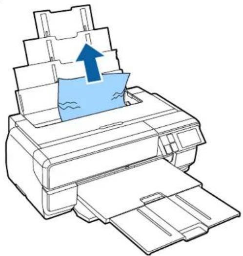 EPSON SCPX3V - ！重要 - 1