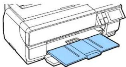 EPSON SCPX3V - PLINNTA-NESS - 6