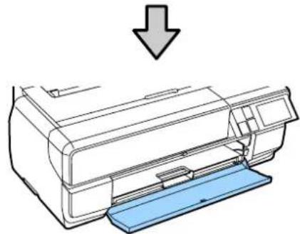 EPSON SCPX3V - PLINNTA-NESS - 2