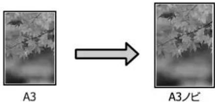 EPSON SCPX3V - 扩大/縮小印刷 - 2
