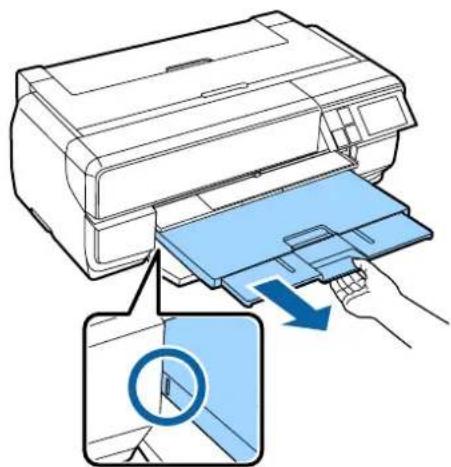 EPSON SCPX3V - 参考 - 2