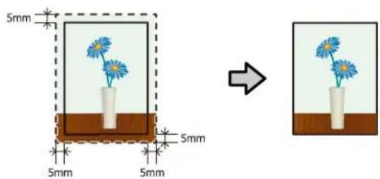 EPSON SCPX3V - 力スム設定（原寸維持） - 1