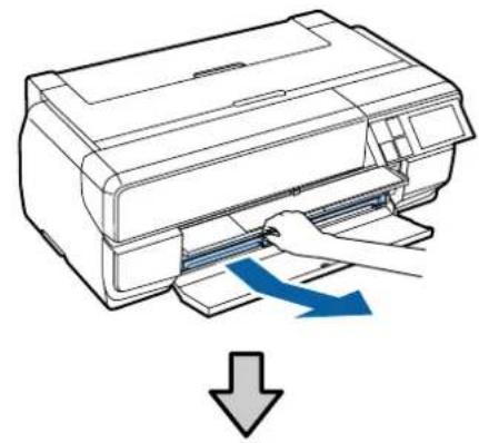 EPSON SCPX3V - 参考 - 1
