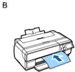 EPSON SCPX3V - ！重要 - 2