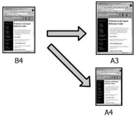 EPSON SCPX3V - 扩大/縮小印刷 - 1