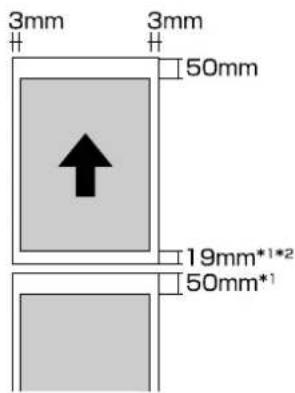 EPSON SCPX3V - □一ル紙の印刷領域 - 1