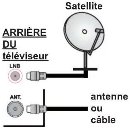 TOSHIBA TDH32363G - Branchement de l'antenne - 1