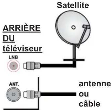 TOSHIBA TDH24363G - Branchement de l'antenne - 1