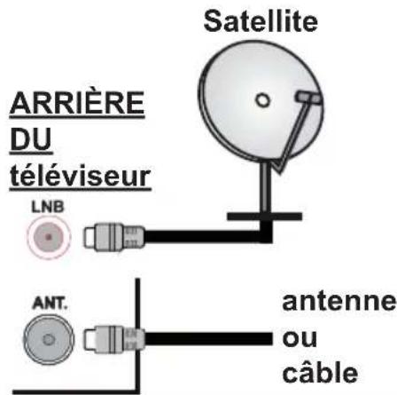 TOSHIBA TDH43363G - Branchement de l'antenne - 1