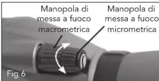 CELESTRON REGAL M2 65MM - MESSAGE A FUOCO - 3