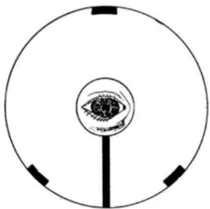CELESTRON SkyProdigy 130 - Kollimation (für SkyProdigy 130) - 1