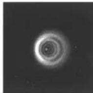 CELESTRON Nexstar 5SE - Collimation - 4