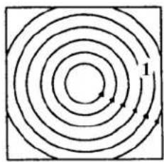 CELESTRON Nexstar 5SE - Motion of the Stars - 1