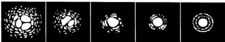 CELESTRON Nexstar 5SE - L'observation - 1