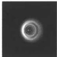 CELESTRON Nexstar 5SE - Collimation - 2