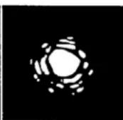 CELESTRON Nexstar 5SE - Seeing - 3