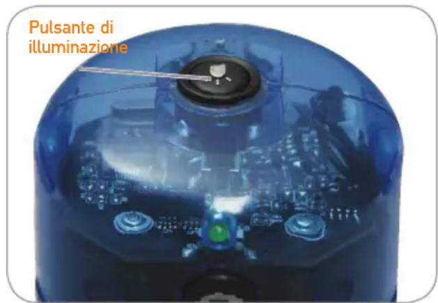 CELESTRON Amoeba Dual Purpose - ILLUMINAIZIONE - 1