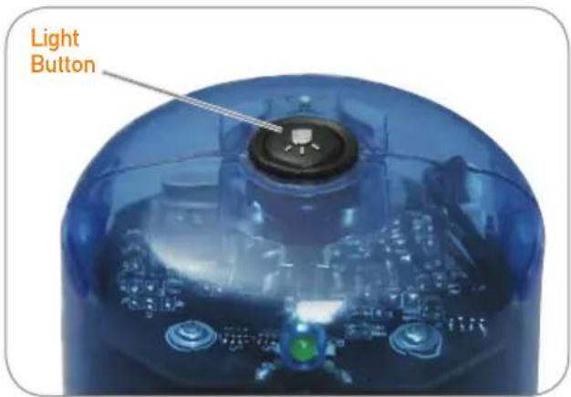CELESTRON Amoeba Dual Purpose - ILLUMINATION - 1
