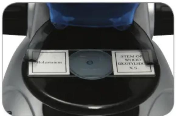 CELESTRON Amoeba Dual Purpose - INSTALLAZIONE DEL SOFTWARE DIGESTIONE ULEAD PHOTO - 1