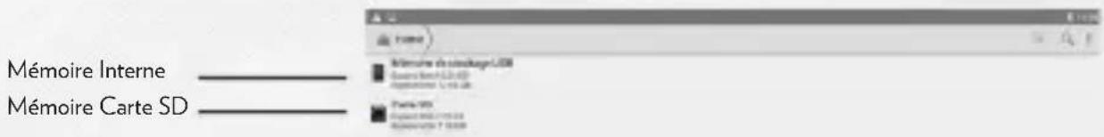 DANEW DSLIDE 815 - 10|Stockage et Gestion des fichiers - 1