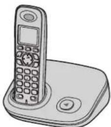 PANASONIC KXTG8021GR - 2