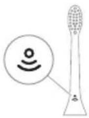 PHILIPS Sonicare ProtectiveClean 4500 - BrushSync technológia - 1