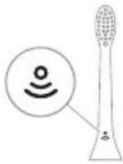 PHILIPS Sonicare ProtectiveClean 4500 - BrushSync texnologiyası - 1